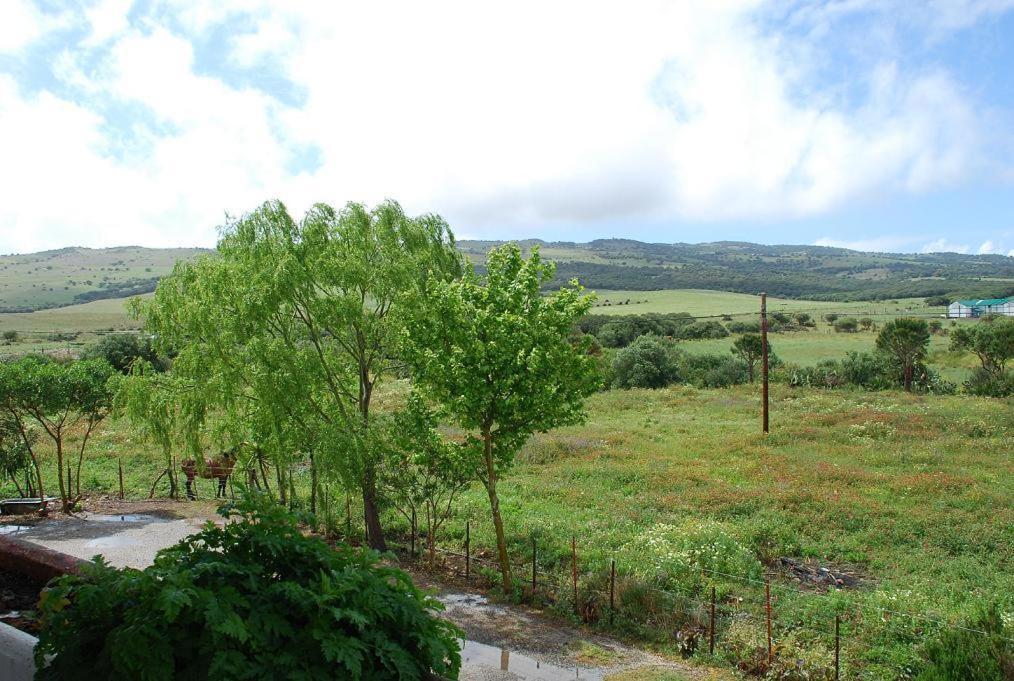 San Jose Del Valle 法斯纳斯 外观 照片